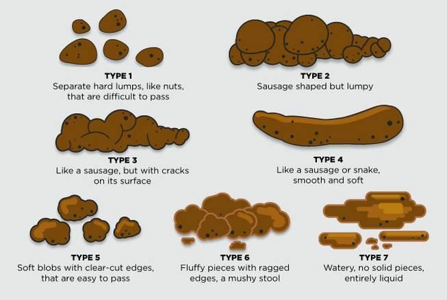 Types Of Stool